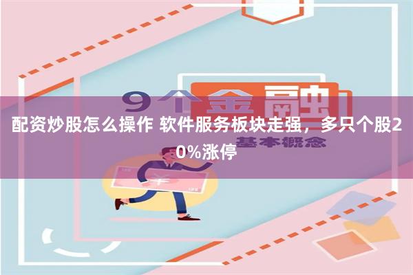 配资炒股怎么操作 软件服务板块走强，多只个股20%涨停